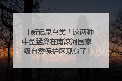 新记录鸟类！这两种中型猛禽在南滚河国家级自然保护区现身了