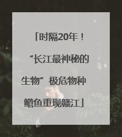 时隔20年！“长江最神秘的生物”极危物种鳤鱼重现赣江
