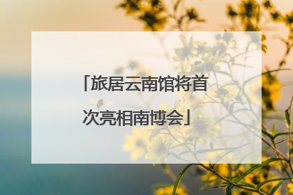 旅居云南馆将首次亮相南博会