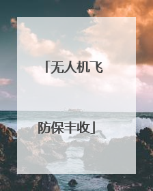 无人机飞防保丰收