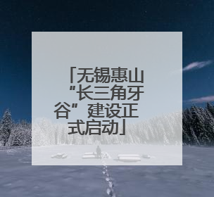 无锡惠山“长三角牙谷”建设正式启动
