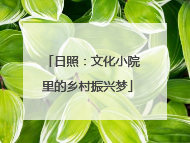 日照：文化小院里的乡村振兴梦