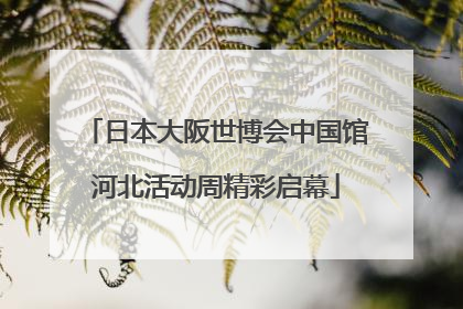 日本大阪世博会中国馆河北活动周精彩启幕