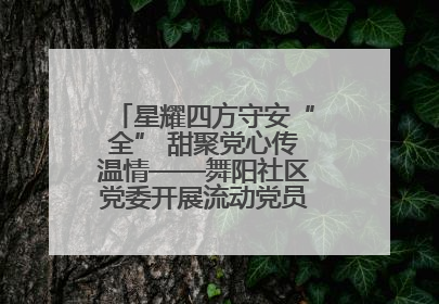 星耀四方守安“全” 甜聚党心传温情——舞阳社区党委开展流动党员建党节主题活动