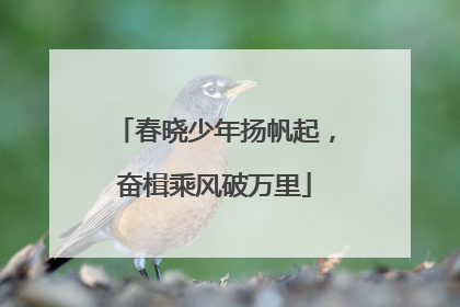 春晓少年扬帆起，奋楫乘风破万里