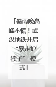 暴雨晚高峰不慌！武汉地铁开启 “暴走护犊子” 模式