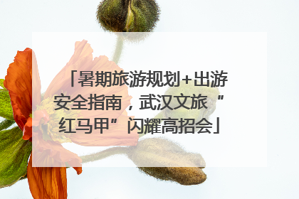 暑期旅游规划+出游安全指南，武汉文旅“红马甲”闪耀高招会