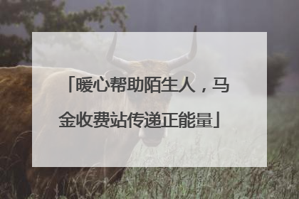 暖心帮助陌生人，马金收费站传递正能量