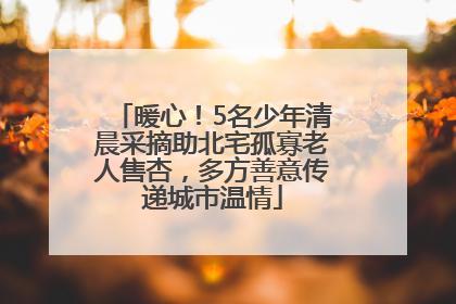 暖心！5名少年清晨采摘助北宅孤寡老人售杏，多方善意传递城市温情