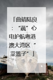 曲靖陆良：“蔬”心电护航粤港澳大湾区“菜篮子”
