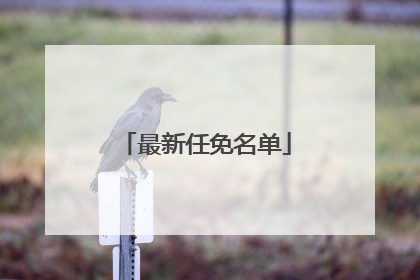 最新任免名单
