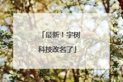 最新！宇树科技改名了