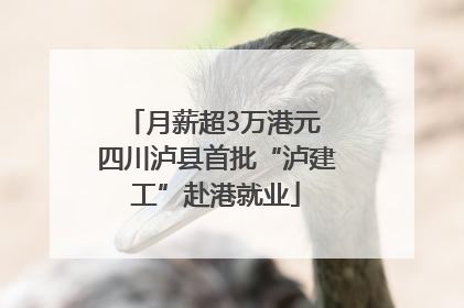 月薪超3万港元 四川泸县首批“泸建工”赴港就业