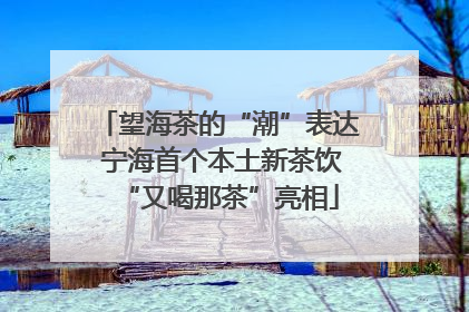 望海茶的“潮”表达 宁海首个本土新茶饮“又喝那茶”亮相