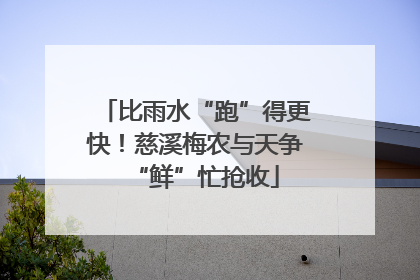 比雨水“跑”得更快！慈溪梅农与天争“鲜”忙抢收