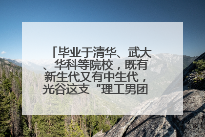 毕业于清华、武大、华科等院校，既有新生代又有中生代，光谷这支“理工男团”为何“出道”？