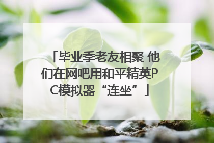 毕业季老友相聚 他们在网吧用和平精英PC模拟器“连坐”