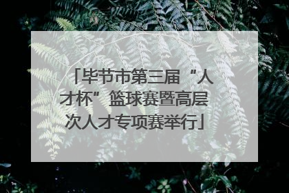 毕节市第三届“人才杯”篮球赛暨高层次人才专项赛举行