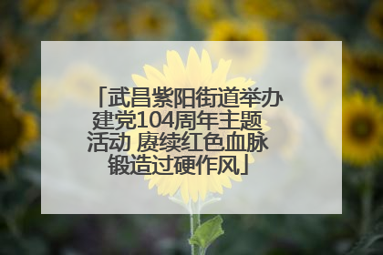 武昌紫阳街道举办建党104周年主题活动 赓续红色血脉锻造过硬作风