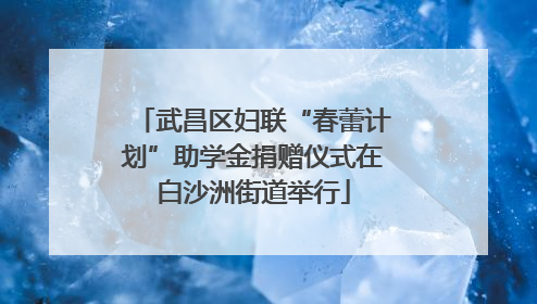 武昌区妇联“春蕾计划”助学金捐赠仪式在白沙洲街道举行