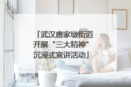 武汉唐家墩街道开展“三大精神”沉浸式宣讲活动