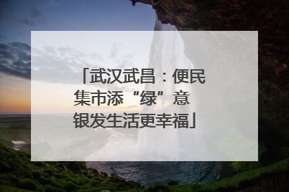 武汉武昌：便民集市添“绿”意 银发生活更幸福