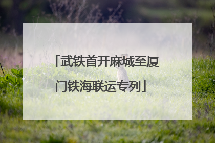 武铁首开麻城至厦门铁海联运专列