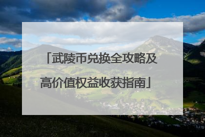 武陵币兑换全攻略及高价值权益收获指南