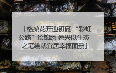 格桑花开迎初夏 “彩虹公路”绘锦绣 德兴以生态之笔绘就宜居幸福图景