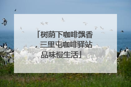 树荫下咖啡飘香，三里屯咖啡驿站品味慢生活