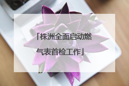株洲全面启动燃气表首检工作