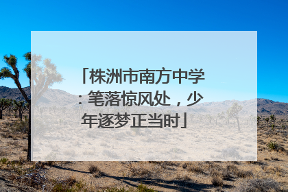 株洲市南方中学：笔落惊风处，少年逐梦正当时