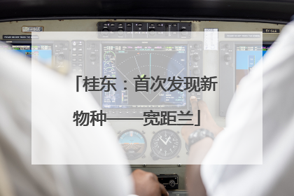 桂东：首次发现新物种——宽距兰
