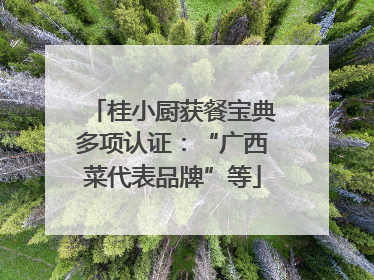 桂小厨获餐宝典多项认证：“广西菜代表品牌”等