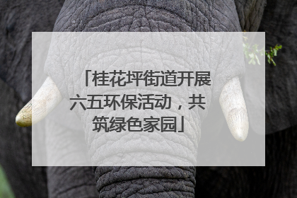 桂花坪街道开展六五环保活动，共筑绿色家园