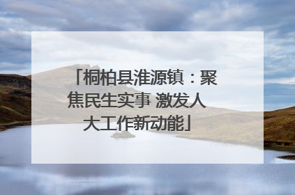 桐柏县淮源镇：聚焦民生实事 激发人大工作新动能