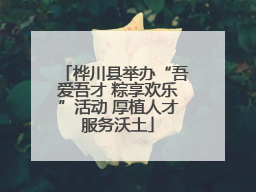 桦川县举办“吾爱吾才 粽享欢乐”活动 厚植人才服务沃土