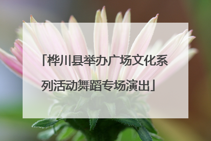 桦川县举办广场文化系列活动舞蹈专场演出