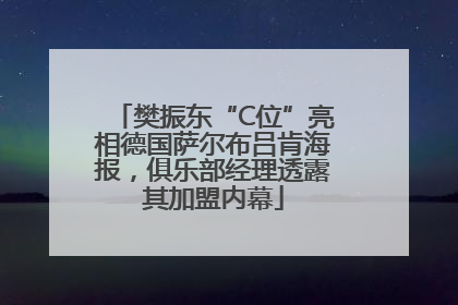 樊振东“C位”亮相德国萨尔布吕肯海报，俱乐部经理透露其加盟内幕