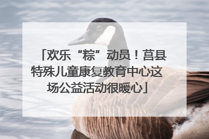 欢乐“粽”动员！莒县特殊儿童康复教育中心这场公益活动很暖心