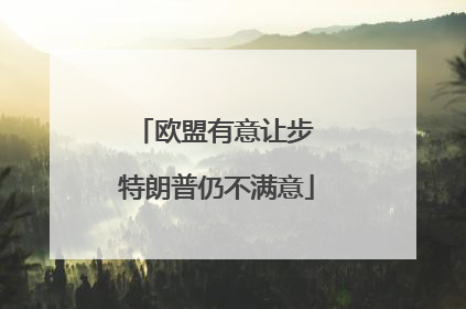欧盟有意让步 特朗普仍不满意