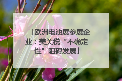 欧洲电池展参展企业：美关税“不确定性”阻碍发展