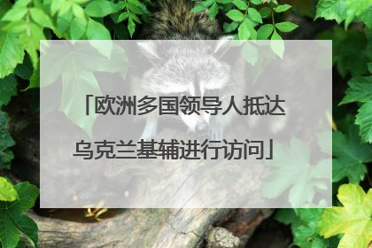 欧洲多国领导人抵达乌克兰基辅进行访问