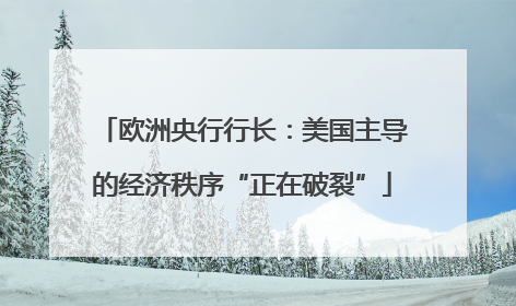 欧洲央行行长：美国主导的经济秩序“正在破裂”