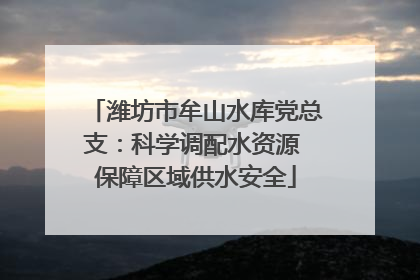 潍坊市牟山水库党总支：科学调配水资源 保障区域供水安全