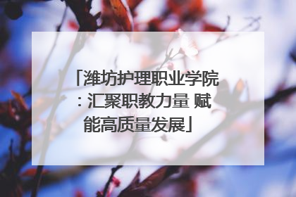 潍坊护理职业学院：汇聚职教力量 赋能高质量发展