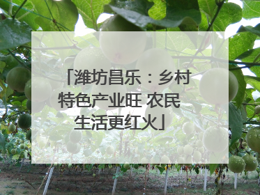 潍坊昌乐：乡村特色产业旺 农民生活更红火