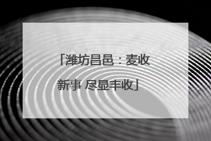 潍坊昌邑：麦收新事 尽显丰收
