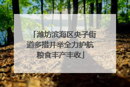 潍坊滨海区央子街道多措并举全力护航粮食丰产丰收