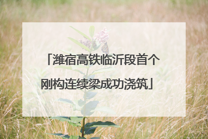 潍宿高铁临沂段首个刚构连续梁成功浇筑